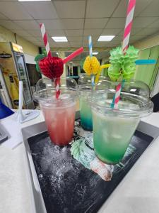 a group of four drinks in plastic cups on a table at VILA APROAPE DE MARE/ LA CASTEL in Costinesti