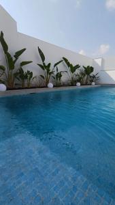 a blue swimming pool with plants next to a building at Villa Hermana Major Luxury Villa in Las Flamencas in San Javier
