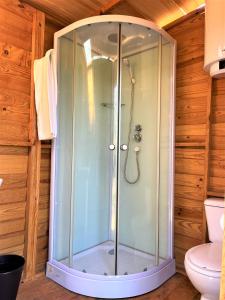 a glass shower in a bathroom with a toilet at Parque da Mina in Monchique