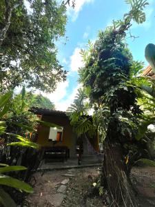 a view of a house through the trees at Casa Canto Verde in Itacaré +12 photos