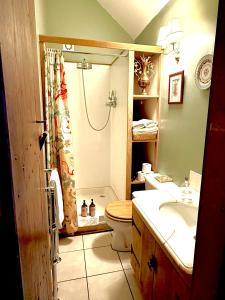 a bathroom with a shower and a toilet and a sink at The Lady Maxwell Room at Buittle Castle in Dalbeattie