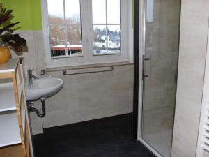 a bathroom with a shower and a sink at Ferienwohnung-Sonnenterrasse in Malchow +23 photos