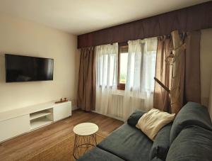 a living room with a couch and a tv at Apartamento Cumbre Loba in La Pinilla