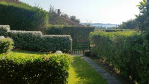 a garden with hedges and a bench on a lawn at Villa Silvia in Costa Rei +9 photos