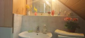 a bathroom with a sink and a mirror at Zimmer und Apartment Rosi in Krakow am See +93 photos