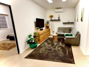 a living room with a couch and a tv at CFS Apartman in Debrecen