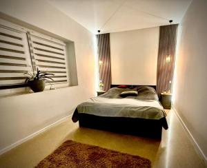 a bedroom with a bed and a window and a rug at CFS Apartman in Debrecen