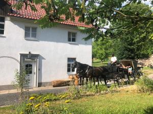 a horse drawn carriage in front of a house at Alte Leimsiederei in Herrnhut