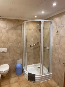 a bathroom with a shower and a toilet at Apartment Roman villa in Hévíz +15 photos