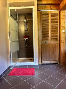 a bathroom with a shower and a red rug at Le Gîte Escalletas in Arrens-Marsous +5 photos