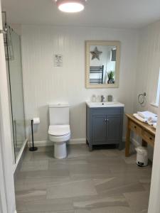 a bathroom with a toilet and a sink and a mirror at Chestnut Cottage New Forest in Brockenhurst +10 photos