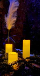 two candles and a vase with a feather in it at Chez Cathy in Villandraut