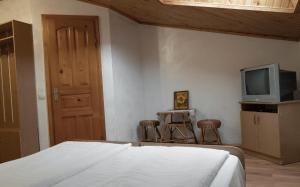 a bedroom with a bed and a tv and a table at Готель Меридіан in Yasinya