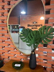 Ein Spiegel mit einer Pflanze vor einem Kühlschrank in der Unterkunft Hotel Blumenpark in Rio Negro