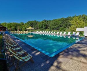a large swimming pool with chairs and umbrellas at Apartmány Siesta in Poľný Kesov
