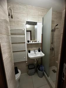 a bathroom with a sink and a toilet and a mirror at Central Studio in Piteşti +8 photos