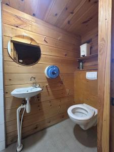 a wooden bathroom with a toilet and a sink at Vakantiepark Zwartemeer in Zwartemeer
