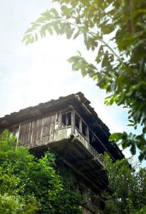 a tree house sitting on top of some trees at Roohi in Nagar