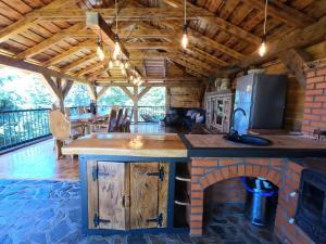 a kitchen with an island in a cabin with a fireplace at Wildglowlodge in Petroşani