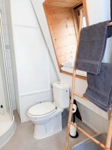a small bathroom with a toilet and a ladder at Le Cocon Alsacien au cœur de Rouffach in Rouffach +16 photos