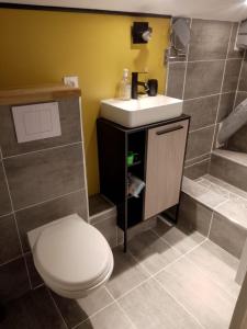 a bathroom with a toilet and a sink at Les Mas d Olema in Puy-lʼÉvêque +23 photos