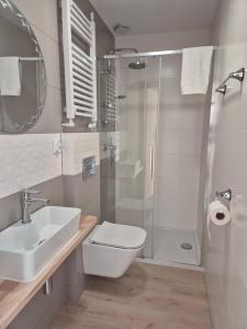 a bathroom with a shower and a toilet and a sink at Daglezja in Przyborów +23 photos