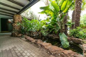 a garden with a pond in a house at Mistica on St James in Johannesburg