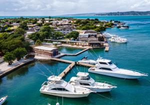 a group of boats docked in a harbor at Grand Hotel Excelsior Port Royal in Kingston
