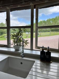 a kitchen counter with a sink and a window at LODGE Nuthatch in Droitwich