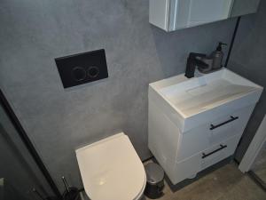 a bathroom with a white toilet and a sink at Casa Sallandia met Outdoor Wellness! in Haarle +29 photos
