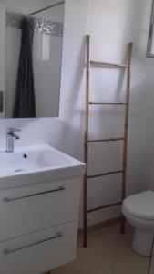 a bathroom with a sink and a toilet and a mirror at Les Chênes Verts in Corte