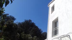 a white building with a window on the side of it at Les Chênes Verts in Corte