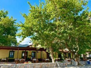 a tree in front of a building with tables and chairs at Kyriakos Apartments in Politika