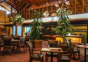ein Restaurant mit Tischen, Stühlen und Topfpflanzen in der Unterkunft Hotel Marina Villa del Rio in Valdivia