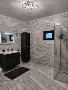 a bathroom with a shower and a sink at Casa Aida in Peşteana