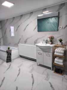 a bathroom with a sink and a toilet and a tub at Casa Aida in Peşteana +7 photos