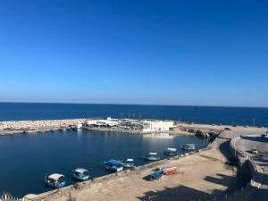 an aerial view of a harbor with boats in the water at Hotel Mezri in Monastir