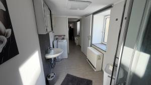 a small bathroom with a sink and a toilet at Wohlfühlen am Großen Goitzschesee in Holzweißig
