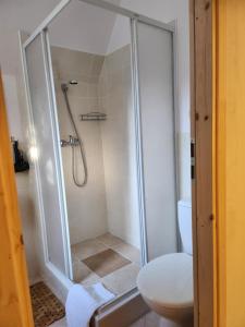a bathroom with a shower and a toilet at Uroczysko pod Babią Górą in Zawoja