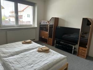 a bedroom with two beds and a mirror and a tv at Privát Nikodém in Veľký Slavkov