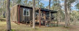 a tree house in the middle of a forest at Balingup TimberTop Cottages in Balingup