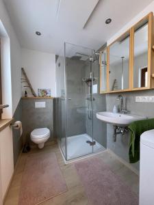a bathroom with a shower and a toilet and a sink at Waldmarie in Grafenau