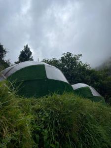 two green tents in a field of grass at Chaullay Star Domes in Colcapampa
