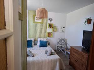 a bedroom with a bed with blue pillows and a tv at Mas denis in Arles
