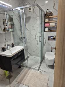 a bathroom with a shower and a sink and a toilet at Luna chalet Zlatibor in Zlatibor +13 photos