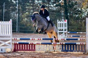 a woman riding a horse jumping over an obstacle at Les cottages du Tremble in Ruffec