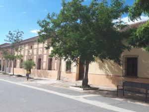 a tree on the side of a building with a bench at Canto del DORMILERO in San Cristóbal de la Vega