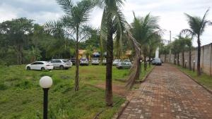 a brick path with palm trees on the side of a street at Chácara Cristo Rei in Senador Canedo