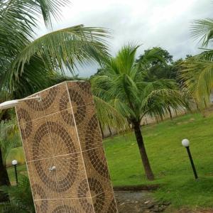 a palm tree in a field with a net at Chácara Cristo Rei in Senador Canedo