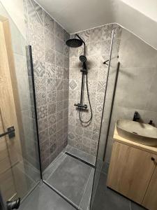 a bathroom with a shower and a sink at Apartmany Zvole in Zvole